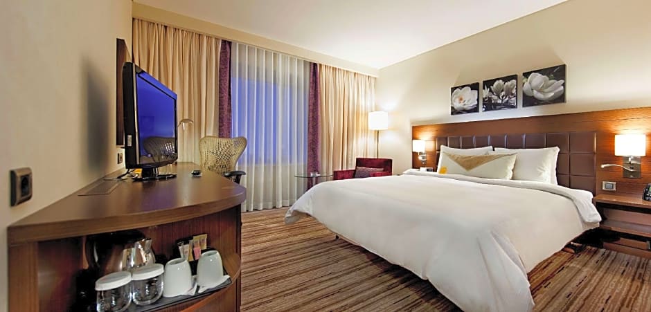 Hilton Garden Inn Mardin