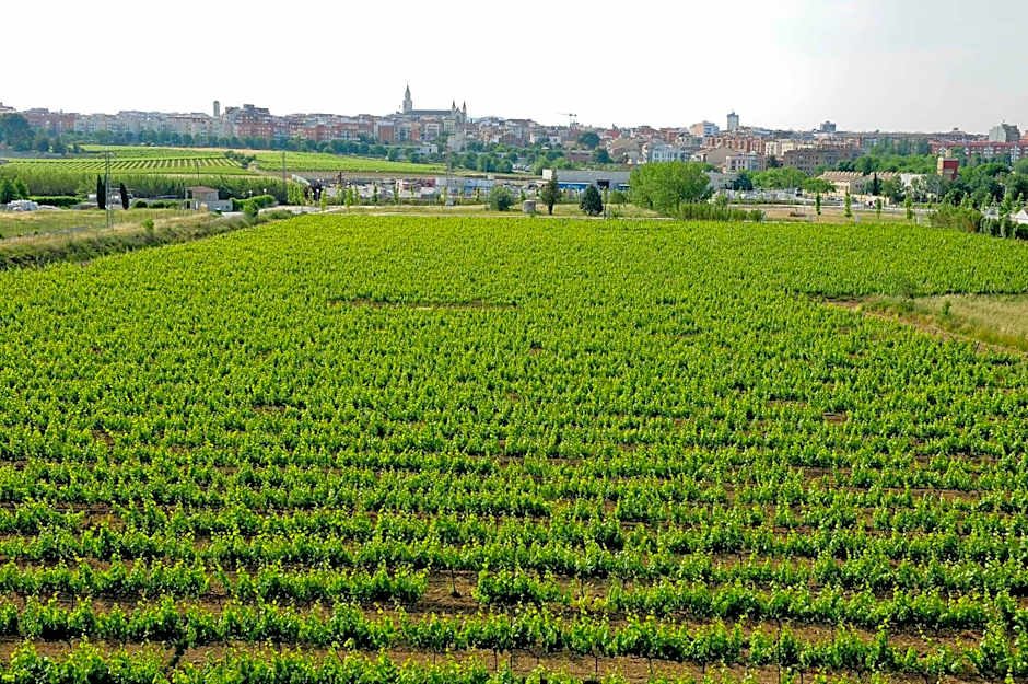 Cava & Hotel Mastinell