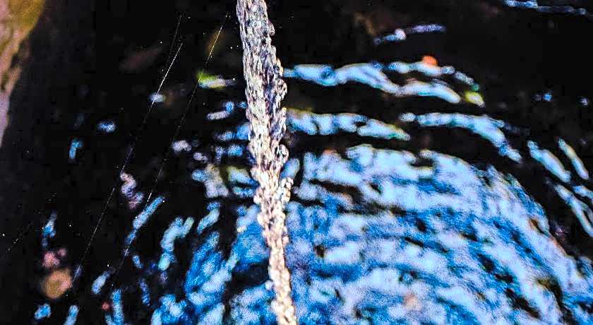 Saraya - Bed and Breakfast