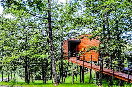 Junior Suite - Tree House