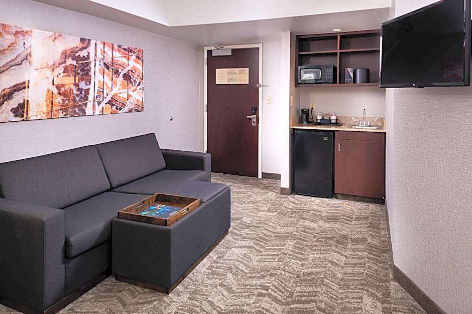 SpringHill Suites by Marriott Pittsburgh North Shore