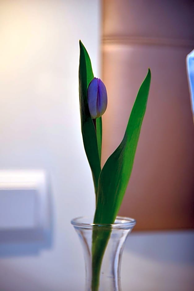 Business Wieland Hotel