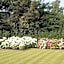 B&B Bloemenweelde