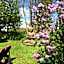 Manoir de La Rogerais & SPA