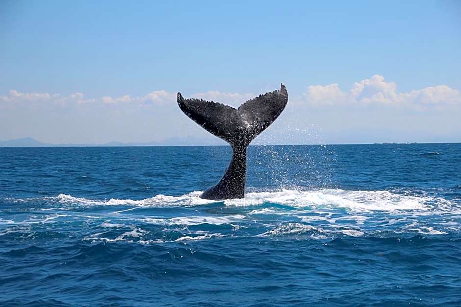 Great Keppel Island Hideaway