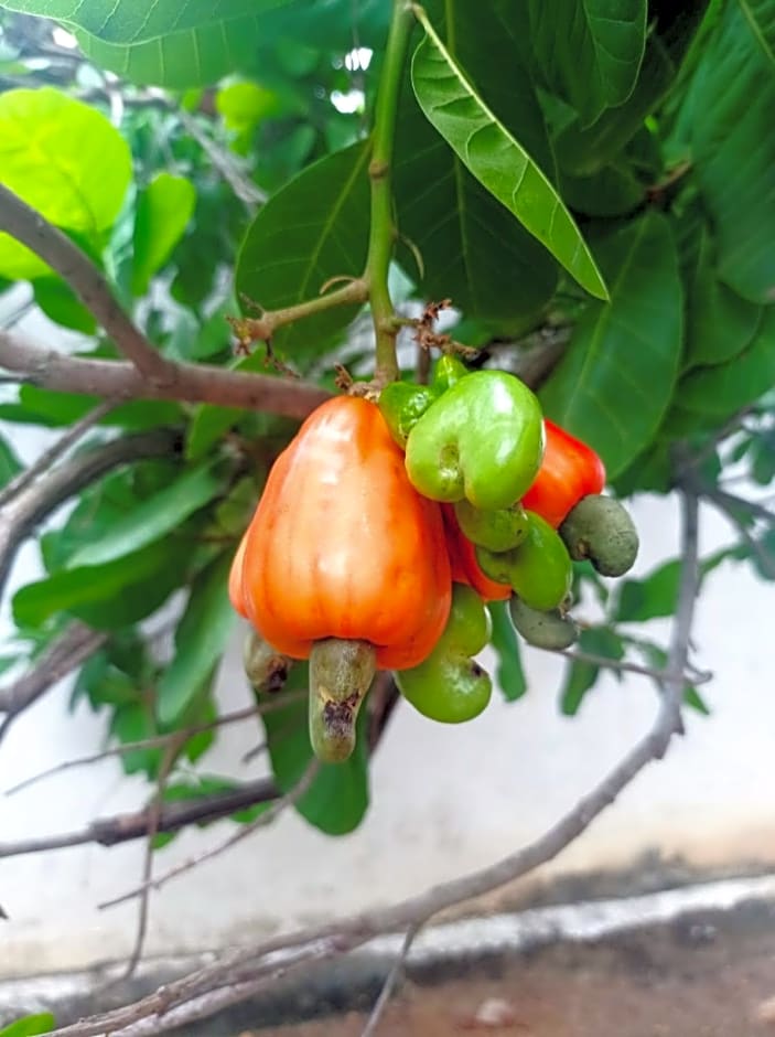 Hostel e Camping da Cris