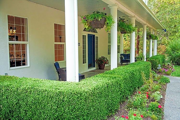 The Inlet Bed & Breakfast