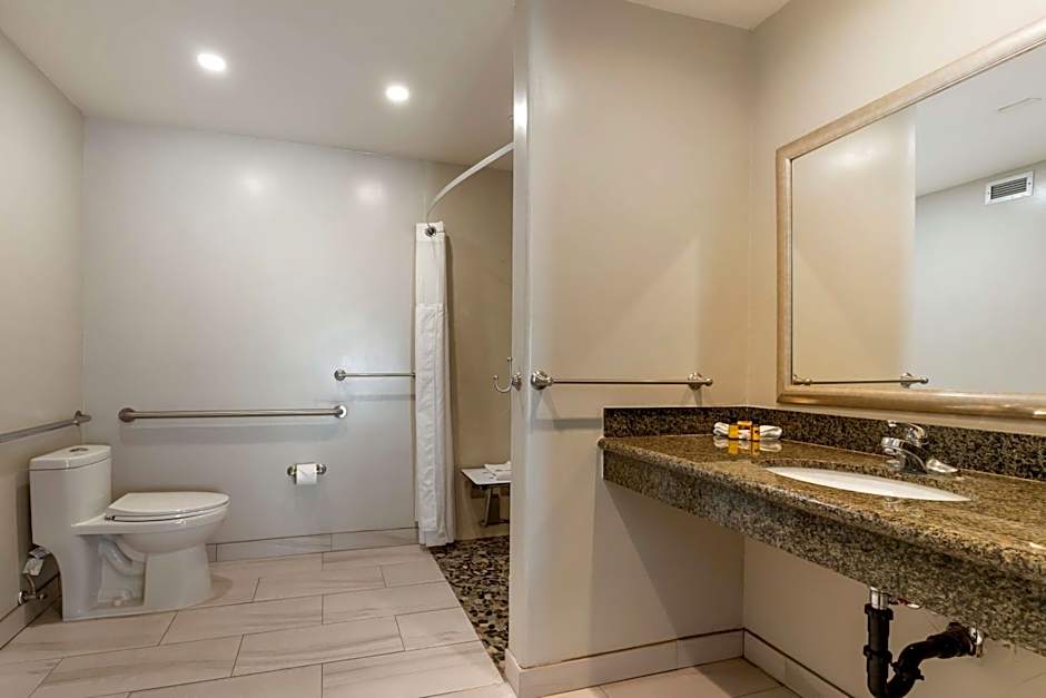 Best Western Plus Forest Park Inn