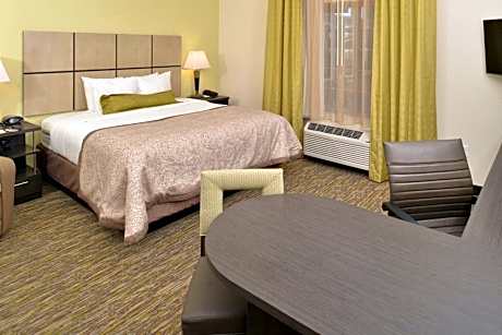 King Studio Suite