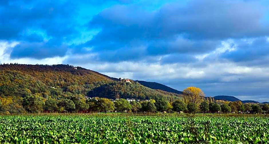 Villa Schaumburg - Boutique Hotel