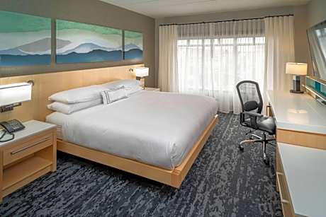 Executive Suite, 1 King, Sofa bed