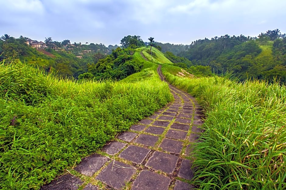 Black Penny Villas Ubud