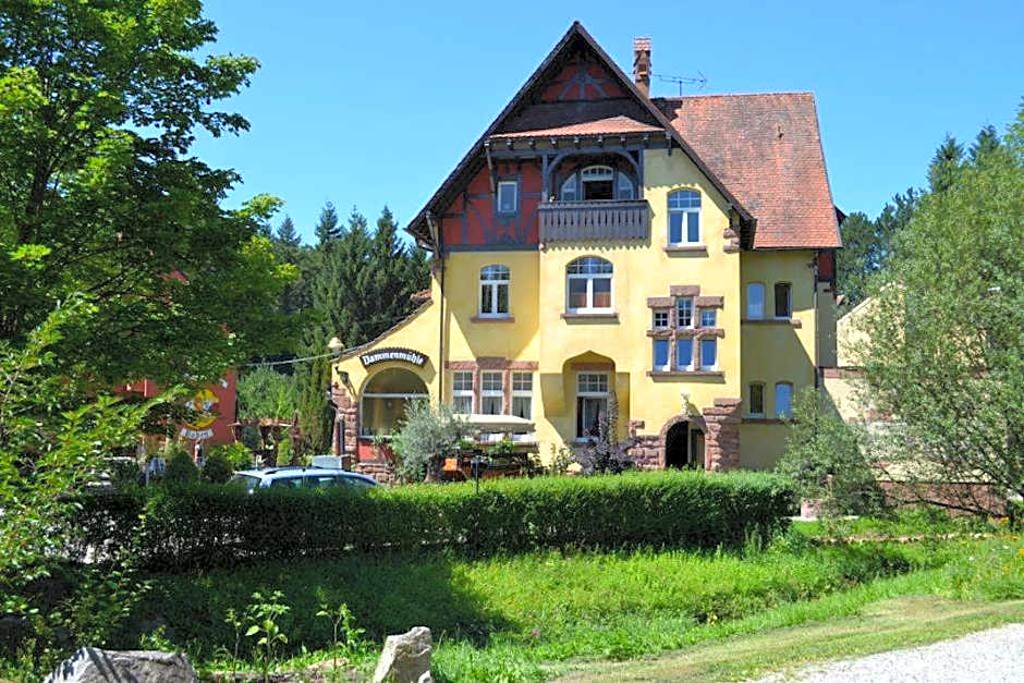 Hotel Dammenmuhle