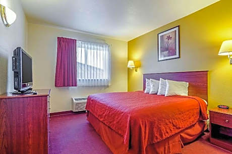 1 Bedroom Suite