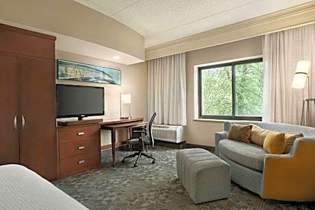 King Room with Bathtub and Sofa Bed - Mobility Access/Hearing Accessible
