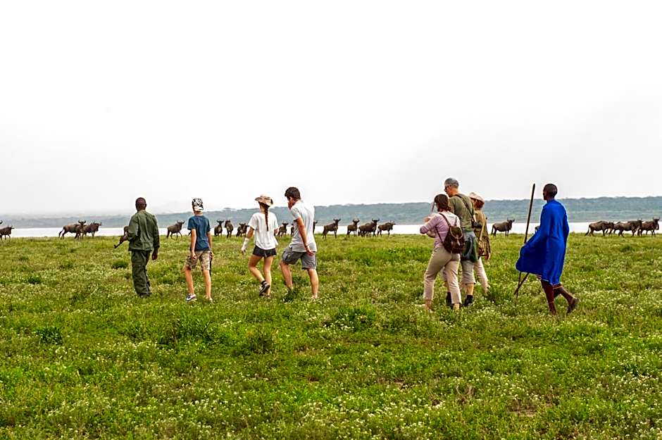 Lake Ndutu Luxury Tented Lodge