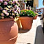 AL PEZ exclusive rooms