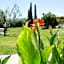 Best Western Hotel Aurelia