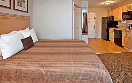 Studio Queen Suite