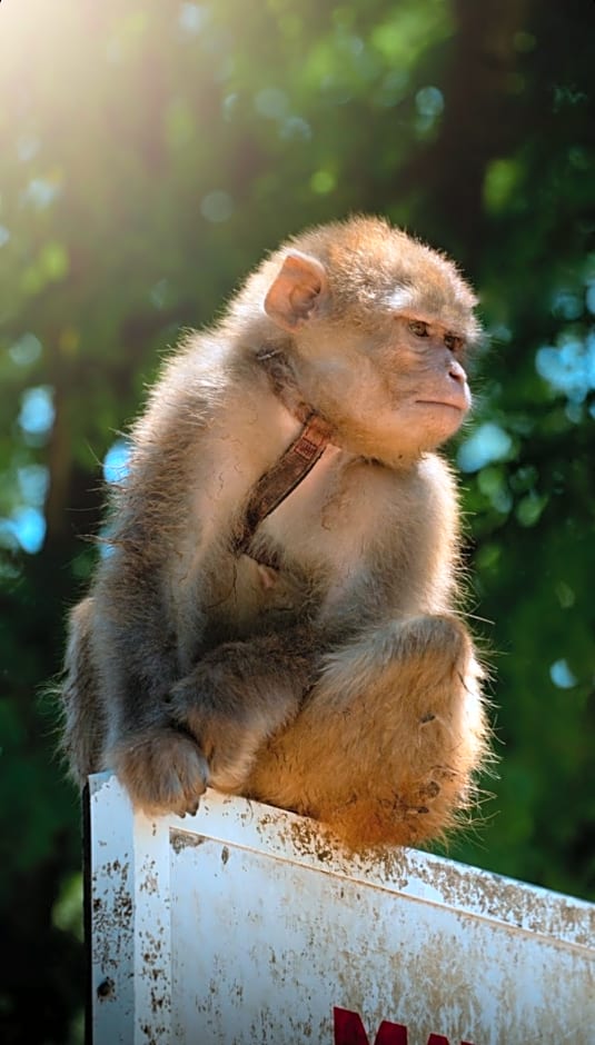 Polonezköy Country Club