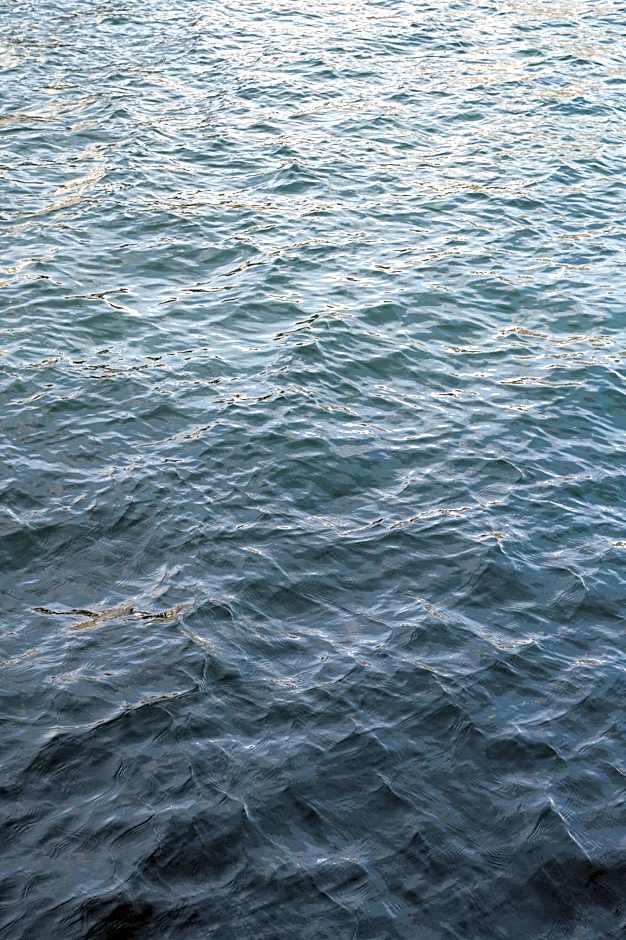 By The Pier Apartments Into This Place