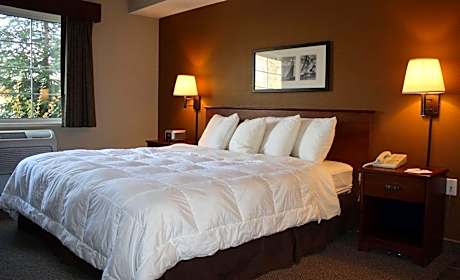 1 King Bed Non-Smoking