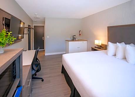 Room with 1 King Bed - Garden view