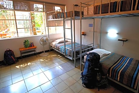 Bed in 8-Bed Mixed Dormitory Room