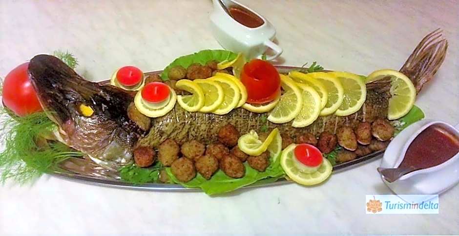 Hotel Restaurant Plutitor Delta Ways