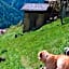 Agritur Maso Ciprianna B&B