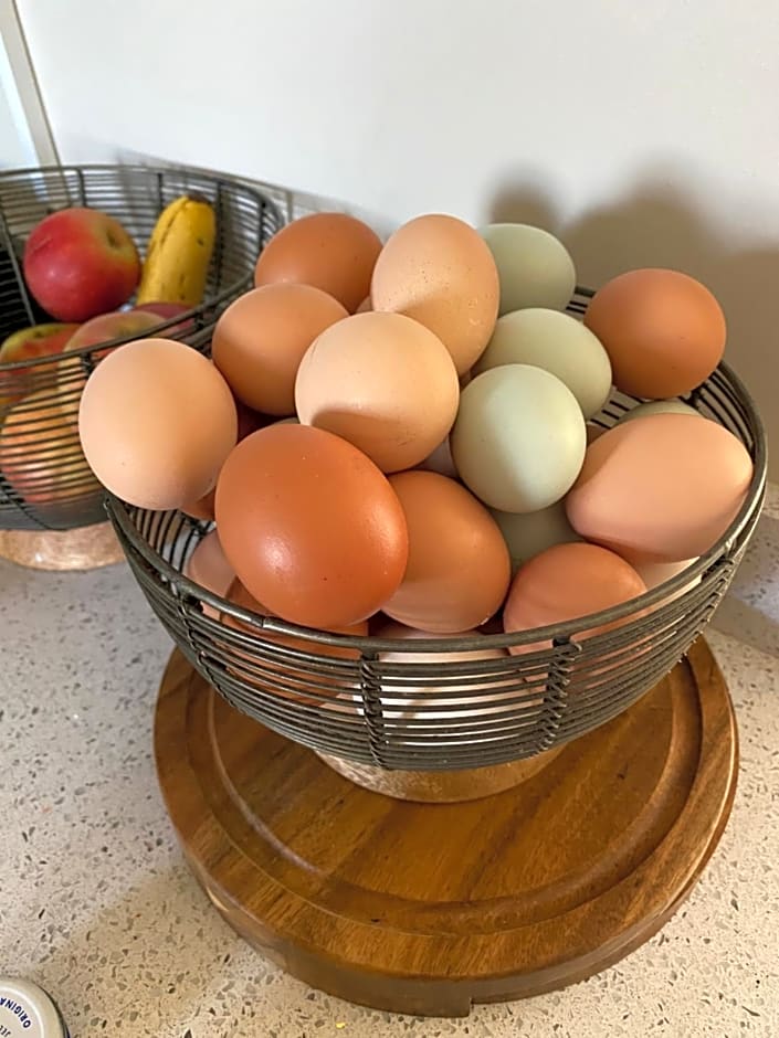 White House Farm - Beautiful Self Contained Courtyard Rooms