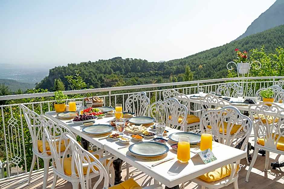 APA Mountain Lodge