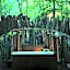 Lost River Hostel
