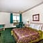 Super 8 by Wyndham Willcox