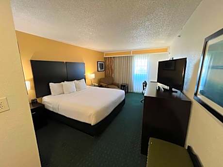 1 King Bed Non-Smoking