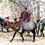 Dar Rahaothello