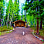 Carlo Creek Cabins