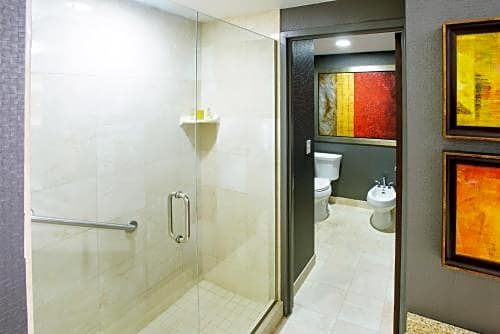 DoubleTree Rochester - Mayo Clinic Area – Rochester, MN