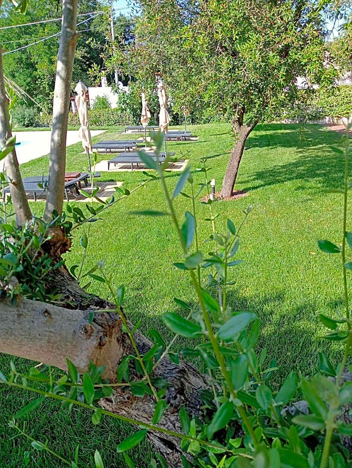 Bed & Breakfast Villa Rosanna – Fasano, AR