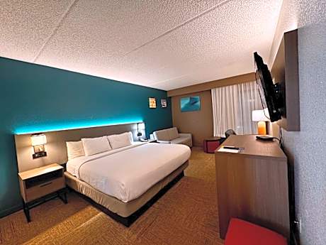 King Room - Accessible/Non Smoking