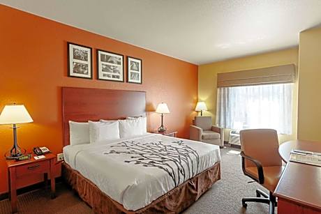 King Room - Non-Smoking