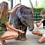 Mason Elephant Park and Lodge Gianyar Bali