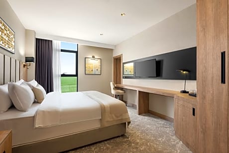 Deluxe King Room, City View