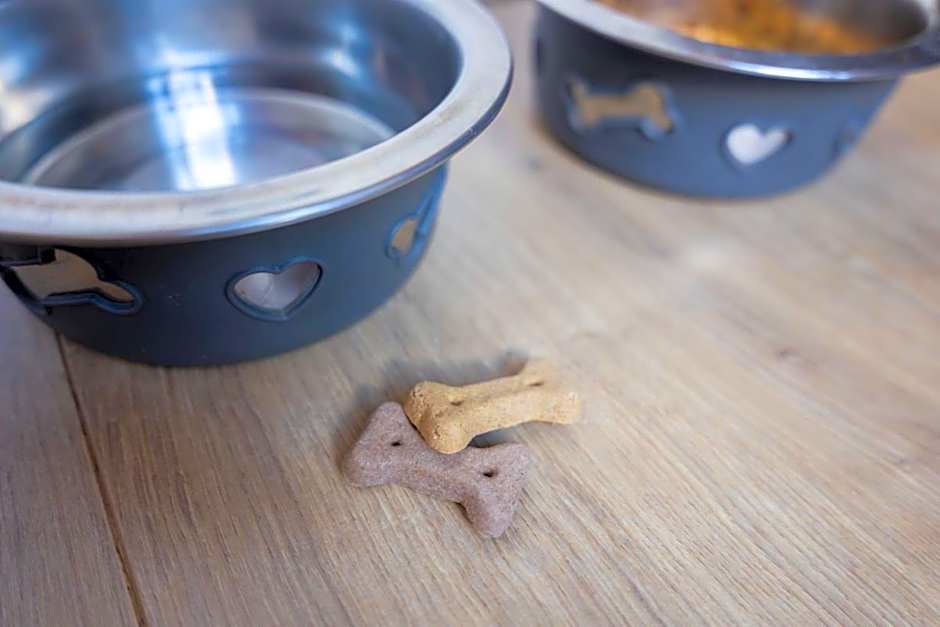 Thús yn Hantum Vakantiehuisje met hottub in Friesland