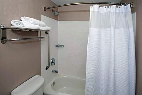 Suite, 1 King Bed with Sofa bed (1 King Bed and 1 Double Sofa Bed)