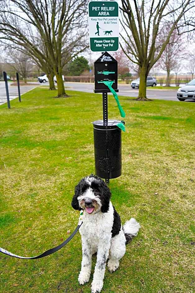 Hampton Inn By Hilton And Suites Chicago/Aurora, Il