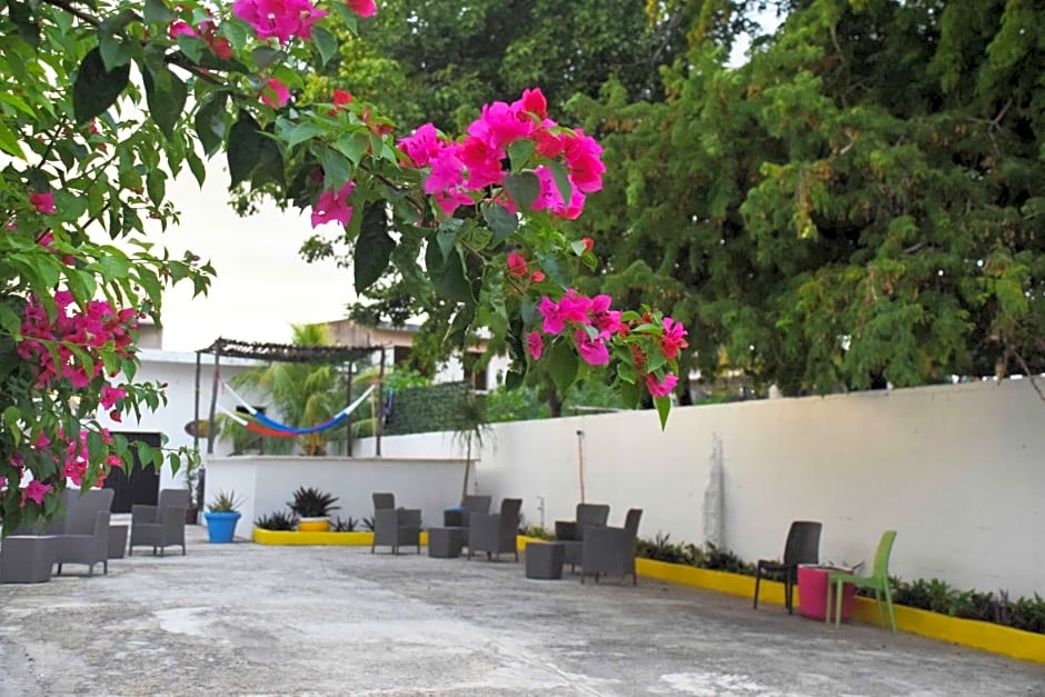 Hostal Casa Bohemia