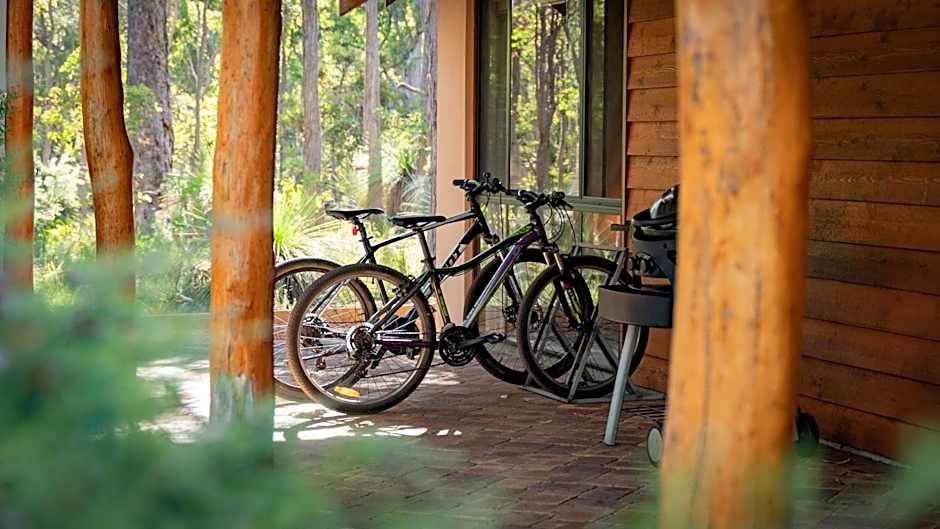 Forest Rise Chalets and Lodge