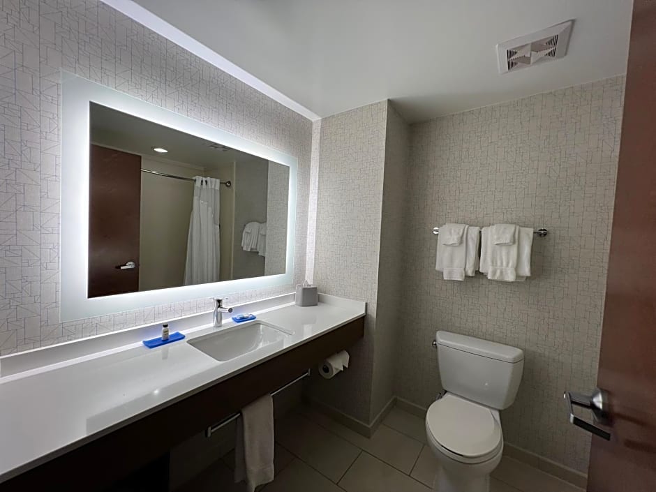 Holiday Inn Express & Suites Columbia - East Elkridge