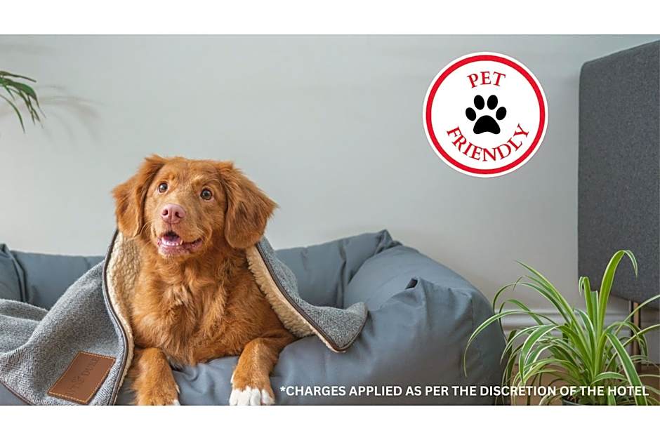 Hotel O Oskaloosa - Hwy 63/92